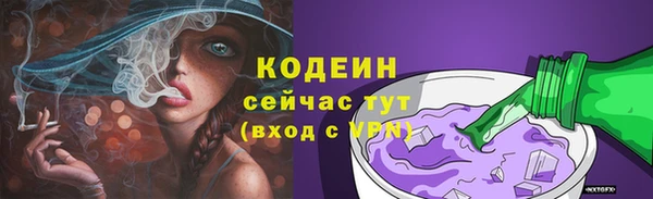 крисы Гусев