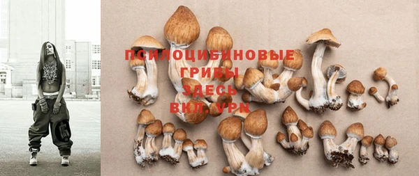 ешки Гусь-Хрустальный