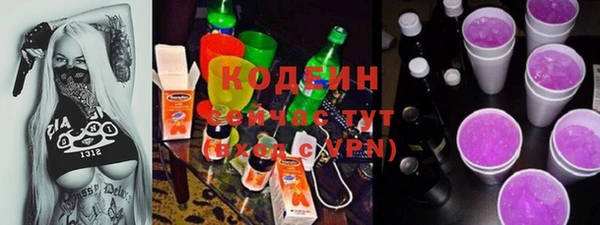 крисы Гусев