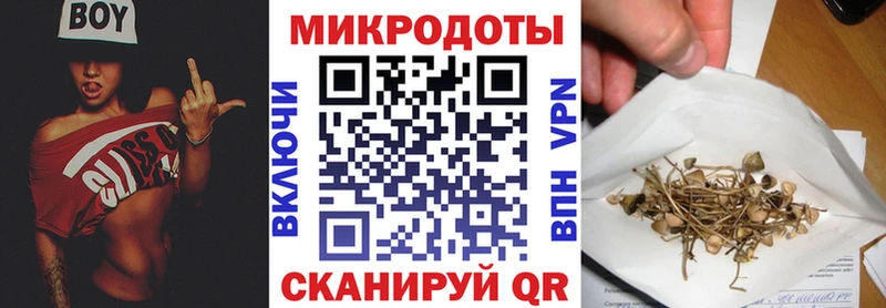 Галлюциногенные грибы Psilocybe  Олёкминск 